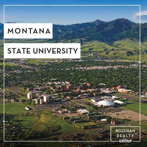 montana-state-university-f