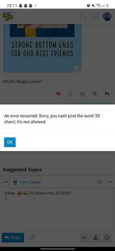 Screenshot_20230912_231156_Chrome