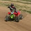 HAYESTRX250R