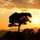 Raj_Parmar