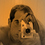 Tiago_Andrade